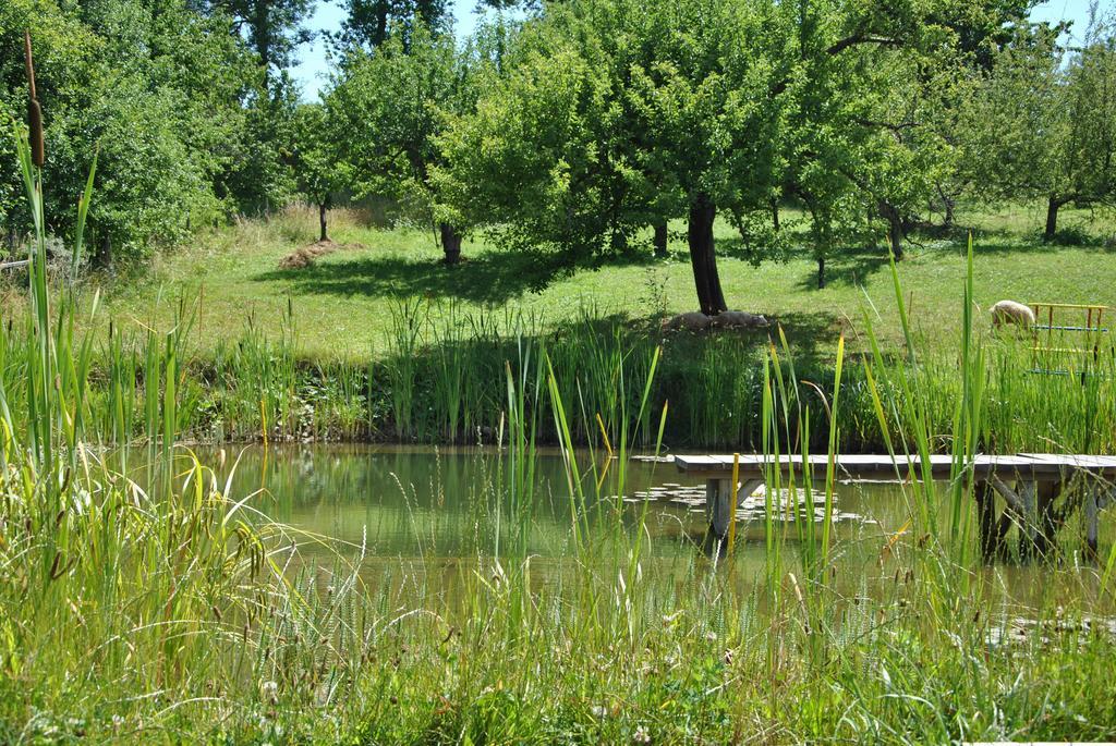 Gazdovsky Dvor "U Tlaciarov" Liptovsky Trnovec Bagian luar foto